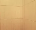 Zdjęcie z galerii