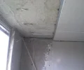 Zdjęcie z galerii