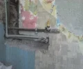 Zdjęcie z galerii