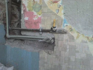 Zdjęcie z galerii